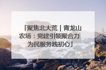 聚焦北大荒｜青龙山农场：党建引领聚合力 为民服务践初心