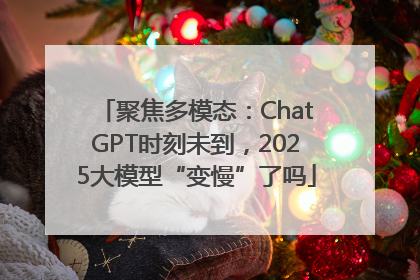 聚焦多模态：ChatGPT时刻未到，2025大模型“变慢”了吗