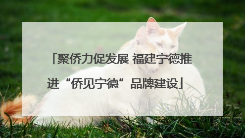 聚侨力促发展 福建宁德推进“侨见宁德”品牌建设