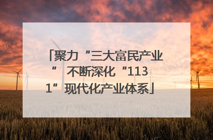 聚力“三大富民产业” 不断深化“1131”现代化产业体系