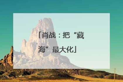 肖战：把“藏海”最大化