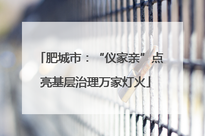 肥城市：“仪家亲”点亮基层治理万家灯火