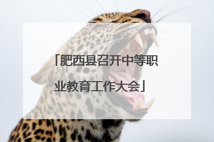 肥西县召开中等职业教育工作大会