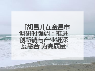 胡昌升在金昌市调研时强调：推进创新链与产业链深度融合 为高质量发展塑造新动能新优势