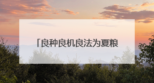 良种良机良法为夏粮丰收提供“硬支撑” 农业现代化图景有“智”更有“质”