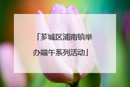芗城区浦南镇举办端午系列活动
