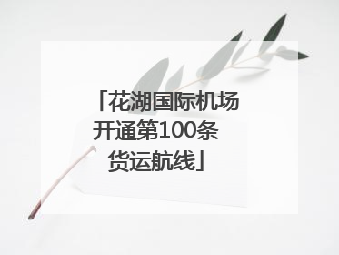 花湖国际机场开通第100条货运航线