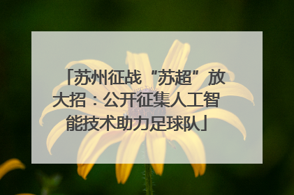 苏州征战“苏超”放大招:公开征集人工智能技术助力足球队