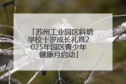 苏州工业园区斜塘学校十岁成长礼暨2025年园区青少年健康月启动