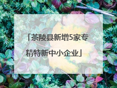 茶陵县新增5家专精特新中小企业