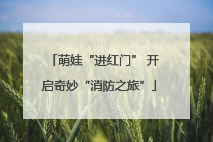 萌娃“进红门” 开启奇妙“消防之旅”