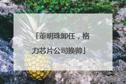 董明珠卸任，格力芯片公司换帅