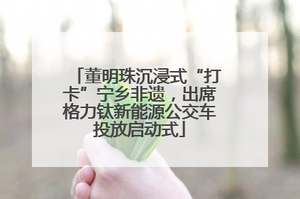 董明珠沉浸式“打卡”宁乡非遗，出席格力钛新能源公交车投放启动式