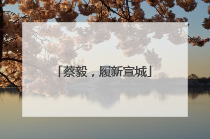 蔡毅，履新宣城