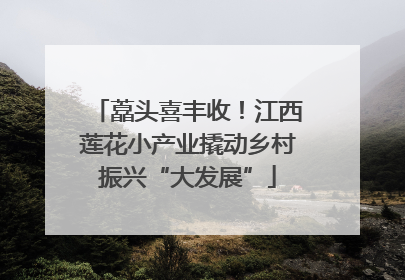 藠头喜丰收！江西莲花小产业撬动乡村振兴“大发展”