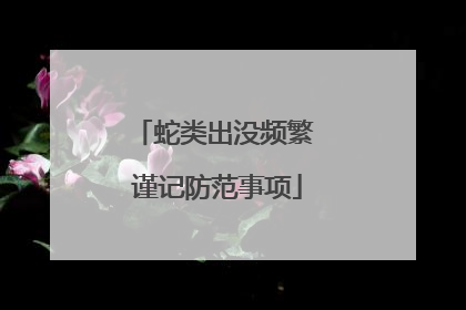 蛇类出没频繁 谨记防范事项
