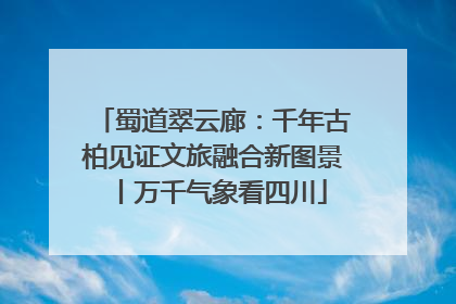蜀道翠云廊：千年古柏见证文旅融合新图景丨万千气象看四川
