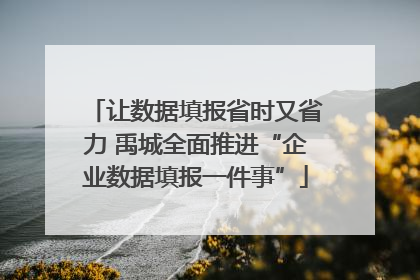 让数据填报省时又省力 禹城全面推进“企业数据填报一件事”
