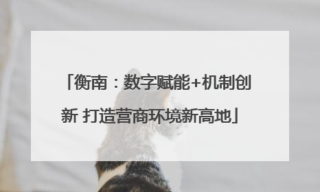 衡南：数字赋能+机制创新 打造营商环境新高地