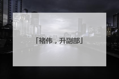褚伟，升副部
