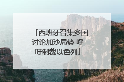 西班牙召集多国讨论加沙局势 呼吁制裁以色列