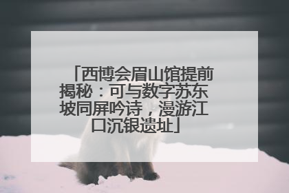 西博会眉山馆提前揭秘：可与数字苏东坡同屏吟诗，漫游江口沉银遗址