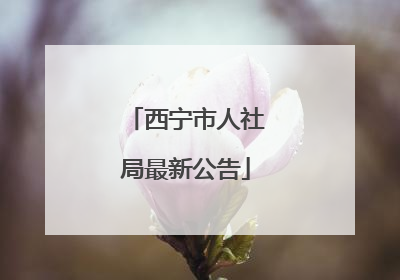 西宁市人社局最新公告
