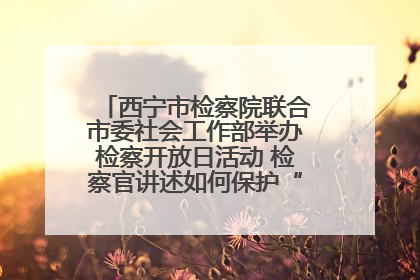 西宁市检察院联合市委社会工作部举办检察开放日活动 检察官讲述如何保护“少年的你”