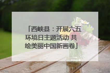 西峡县：开展六五环境日主题活动 共绘美丽中国新画卷