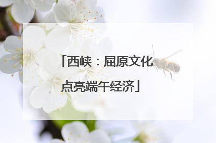 西峡：屈原文化点亮端午经济