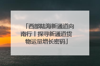 西部陆海新通道向南行丨探寻新通道货物运量增长密码