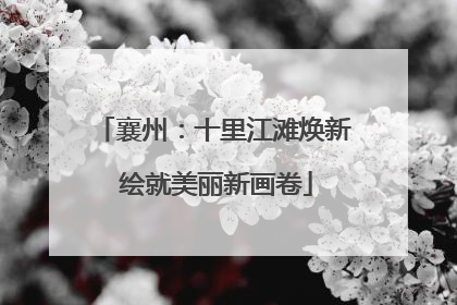 襄州：十里江滩焕新 绘就美丽新画卷