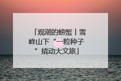 观潮的螃蟹丨雪峰山下“一粒种子”撬动大文旅