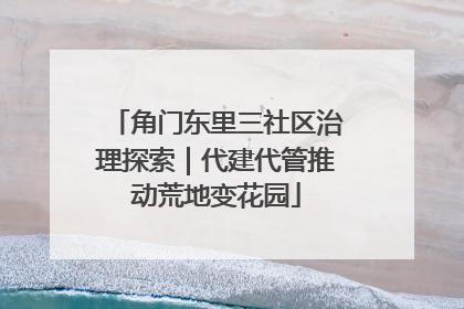 角门东里三社区治理探索｜代建代管推动荒地变花园