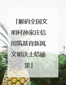 解码全国文明村孙家庄信用筑基育新风文明沃土结硕果