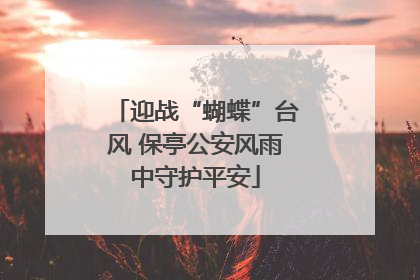 迎战“蝴蝶”台风 保亭公安风雨中守护平安