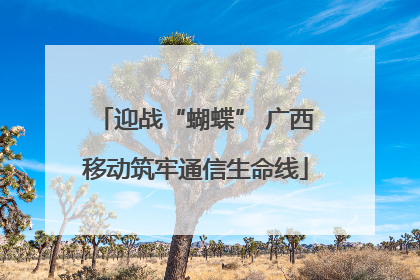 迎战“蝴蝶” 广西移动筑牢通信生命线