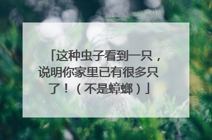 这种虫子看到一只，说明你家里已有很多只了！（不是蟑螂）