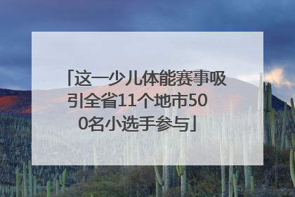 这一少儿体能赛事吸引全省11个地市500名小选手参与