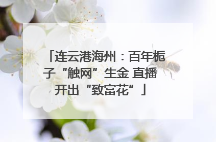 连云港海州：百年栀子“触网”生金 直播开出“致富花”