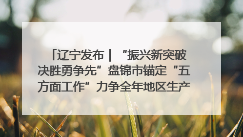 辽宁发布｜“振兴新突破 决胜勇争先”盘锦市锚定“五方面工作”力争全年地区生产总值增长5.5%左右