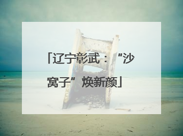 辽宁彰武:“沙窝子”焕新颜