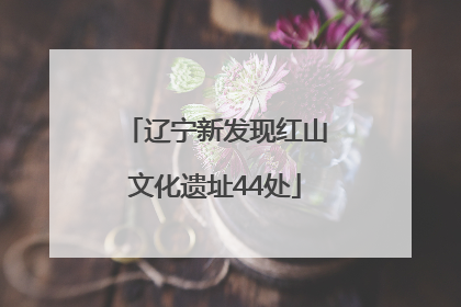 辽宁新发现红山文化遗址44处