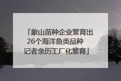 象山苗种企业繁育出26个海洋鱼类品种 记者亲历工厂化繁育
