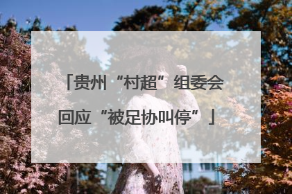 贵州“村超”组委会回应“被足协叫停”