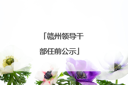 赣州领导干部任前公示