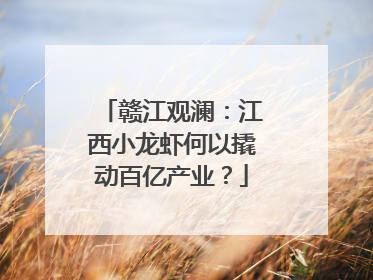 赣江观澜：江西小龙虾何以撬动百亿产业？