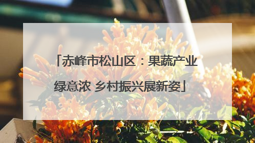 赤峰市松山区：果蔬产业绿意浓 乡村振兴展新姿