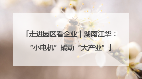 走进园区看企业｜湖南江华：“小电机”撬动“大产业”