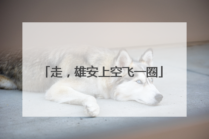 走，雄安上空飞一圈